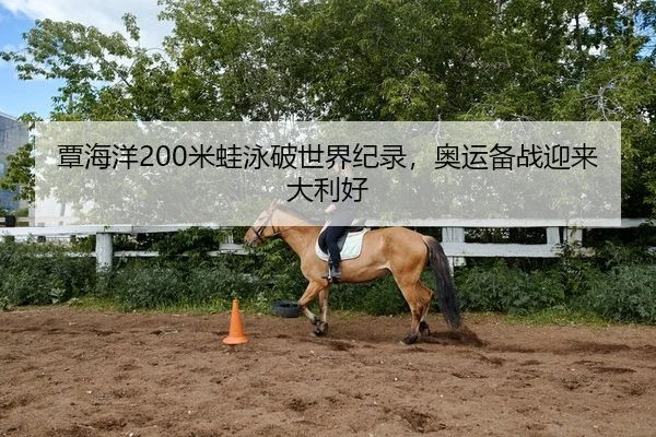 覃海洋200米蛙泳破世界纪录，奥运备战迎来大利好